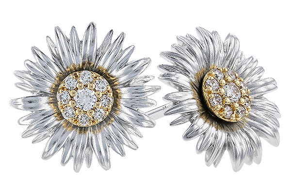 D319-75971: EARRINGS .14 TW
