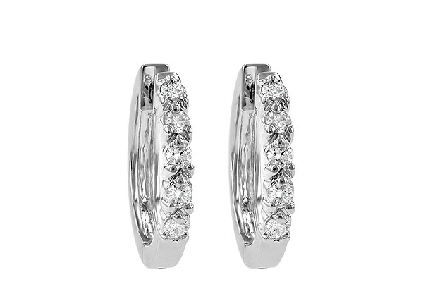 E231-57744: EARRINGS .25 TW