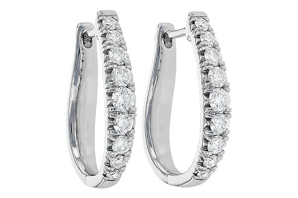 H236-12343: EARR 1.00 TW