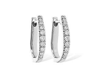 K236-12343: EARR .25 TW