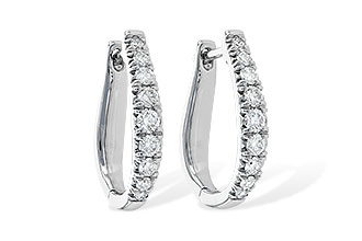 L236-12343: EARR .50 TW