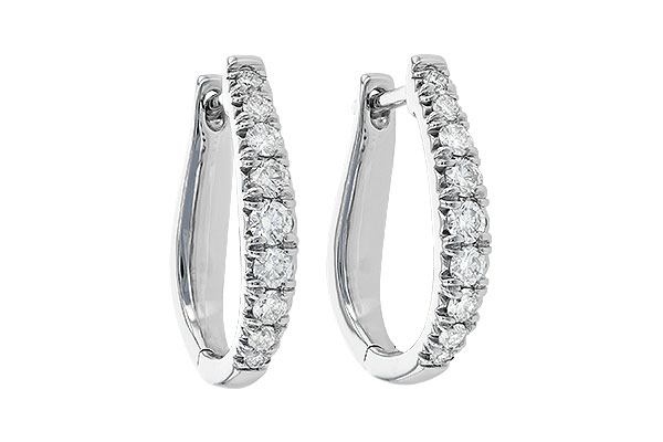 L236-12343: EARR .50 TW